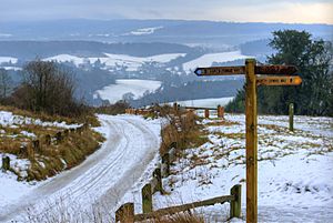 Newlands Corner