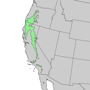 Pinus lambertiana range map 1.png