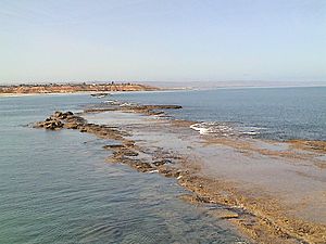 Port Noarlunga reef