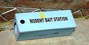 Rodent Bait Station, Chennai, India