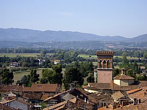 Sansepolcro roofs