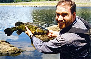 Small Eastern freshwater cod