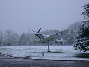 SnowySpitfire