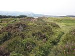 Bowl barrow on Thorncombe Hill known as `Thorncombe Barrow'