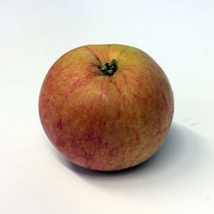 Wealthy (apple)