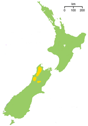 418px-NZ-kiwimapApteryx haastii.png