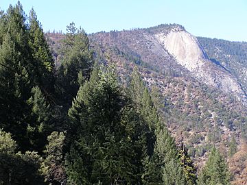 Bald Rock Dome (1).jpg