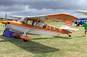 Bellanca.citabria.arp