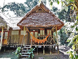 Cabaña en Chalalan Albergue Ecológico.jpg