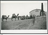 Camel train unloading wool.