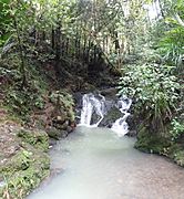 Cascades on Hakarimata