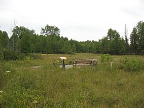 Cedar Bog Ohio Trail.JPG