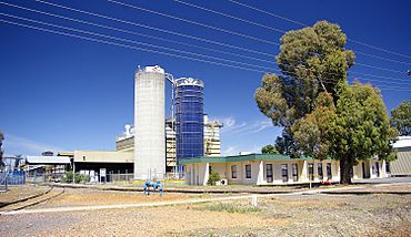 CopRice Leeton.jpg