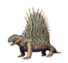 Dimetrodon NT2 small