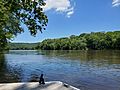 Dock View