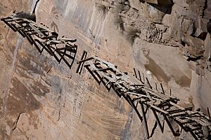 Hangingflumecloseup