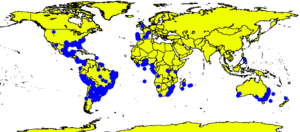 Hydrocotyle bonariensis distMap.png