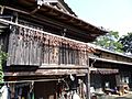 Japanese Persimmons drying