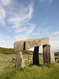 Legannany Dolmen June 2010