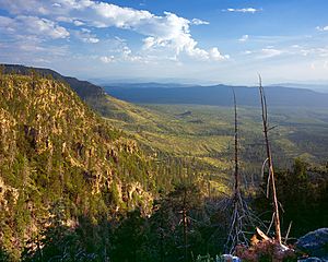 MOGOLLONRIM AZ17