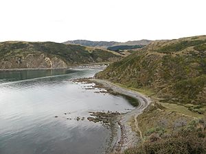 Makara beach, New Zealand.jpg