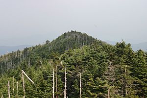 MountMitchell