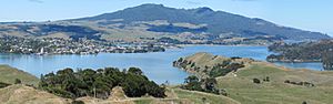 Mt. Karioi, Raglan and Whaingaroa Harbour.jpg