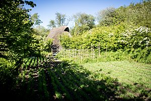 Neolithic farmstead and house