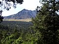 Nevado de Toluca con bosque