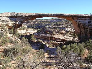 Owachomo bridge