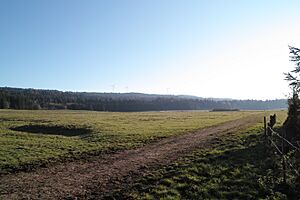 Pasture near Les Cerneux 2011