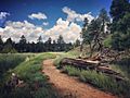 Picture Canyon Tom Moody Trail