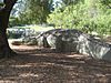 Public art - Phytosaur, Kings Park Perth.jpg