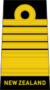 Admiral of the fleet