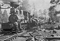 Railroad Logging, South Kaibab