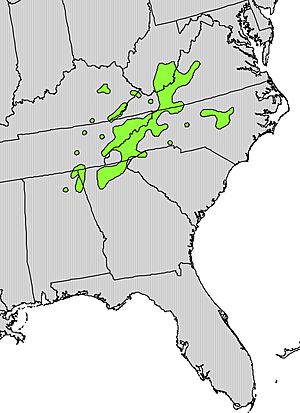 Rhododendron catawbiense range map.jpg