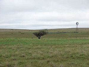 Rita Blanca National Grassland.jpg