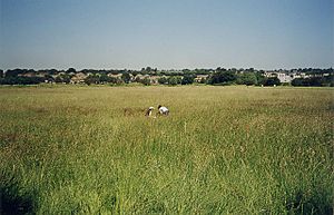 River Mead, Roding Valley Meadows - geograph.org.uk - 1430561