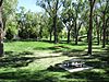 Roosevelt Park, Albuquerque NM.jpg