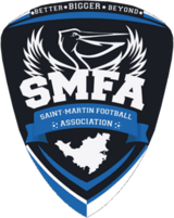 Shirt badge/Association crest