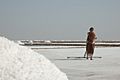 Salt worker in Rann of Kutch