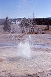 SawmillGeyser-Keller1964.jpg