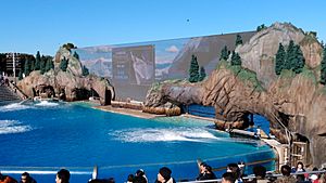 SeaWorld San Diego "Orca Encounter" Exhibit