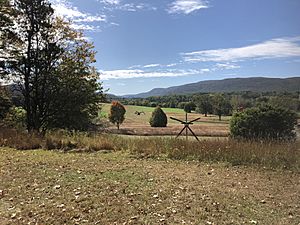 Storm King sculpture area