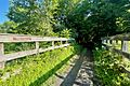 Sussex Branch Trail, Andover, NJ - Morris and Sussex Turnpike crossing