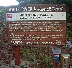 USFS interpretive plaque, Independence, CO