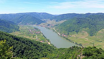 Wachau (2).JPG