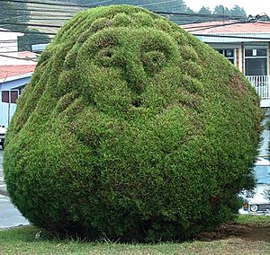 Topiary at Parque Francisco Alvarado in Zarcero