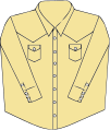 Atypicalwesternshirt