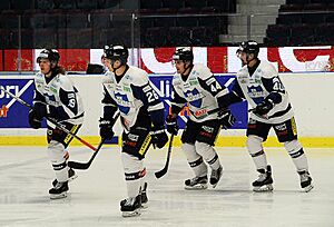 BIK Karlskoga players